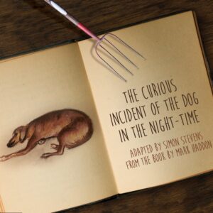 Poster for The Curious Incident of the Dog in the Night-Time at The Stagecrafters